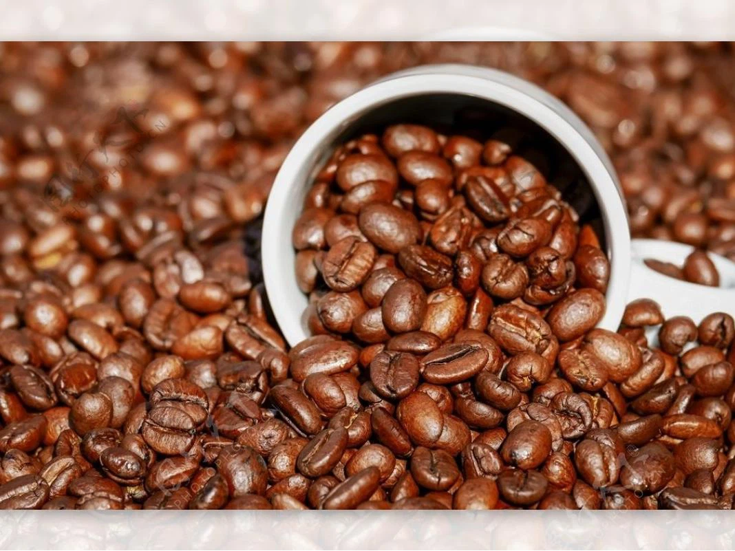 Vacuum Skin Packaging: The Vacuum Skin Packaging: The